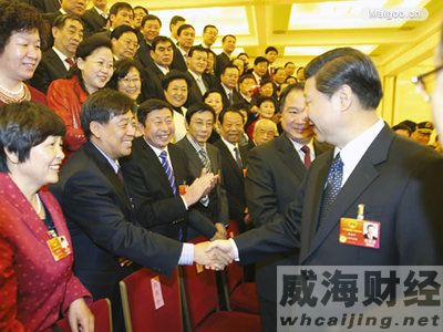 三角集团丁玉华:尽快出台轮胎行业准入制度 -